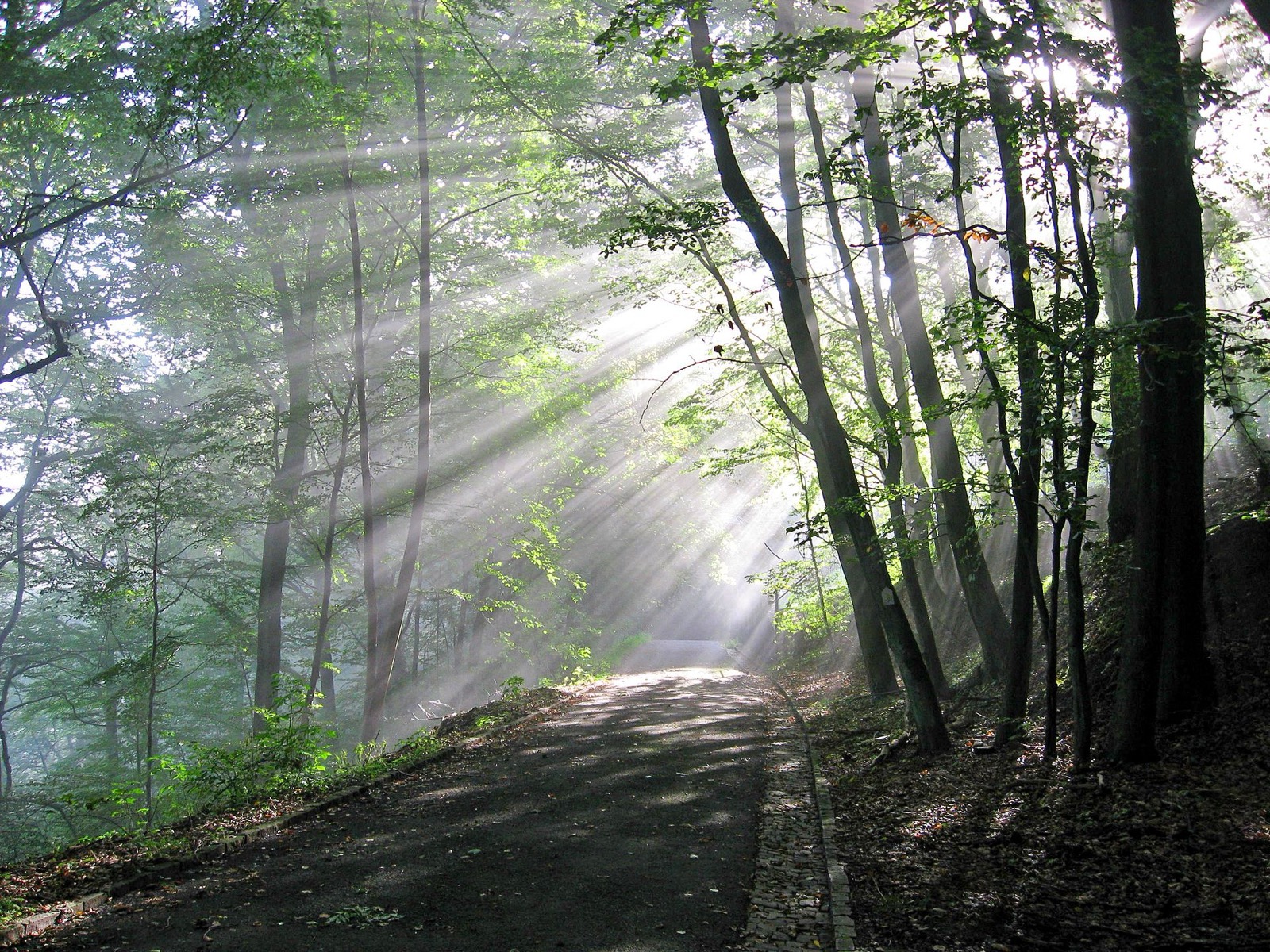 Homburg – Foto: Lokilech