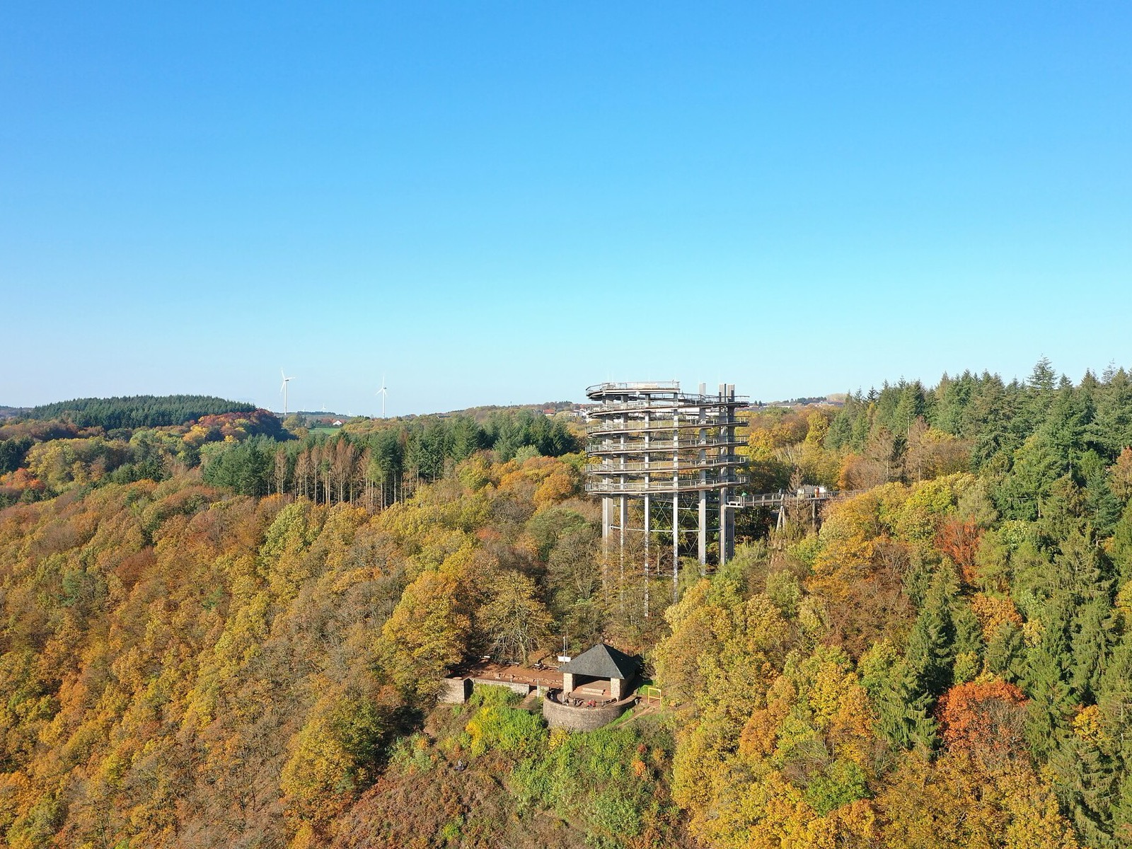 Baumwipfelpfad Saarschleife – Foto: Pascal Dihé