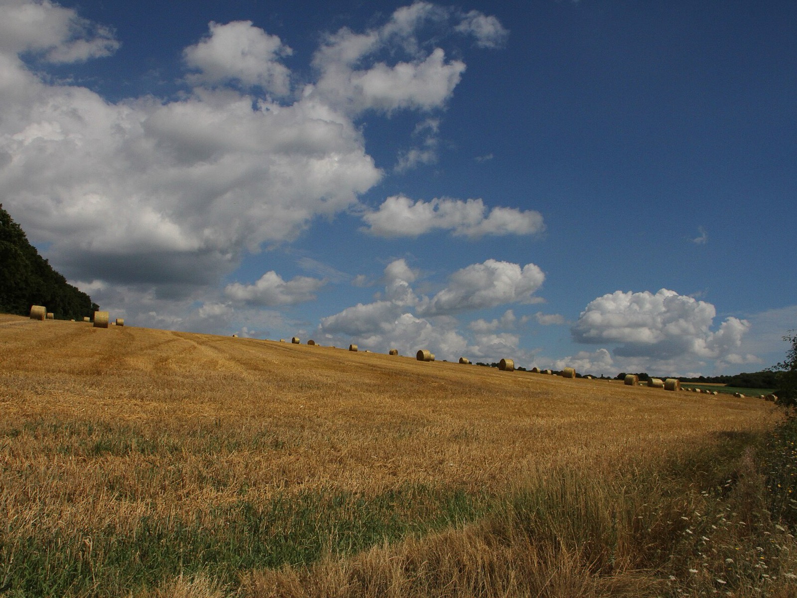 Bliesgau – Foto: Gerd Eichmann