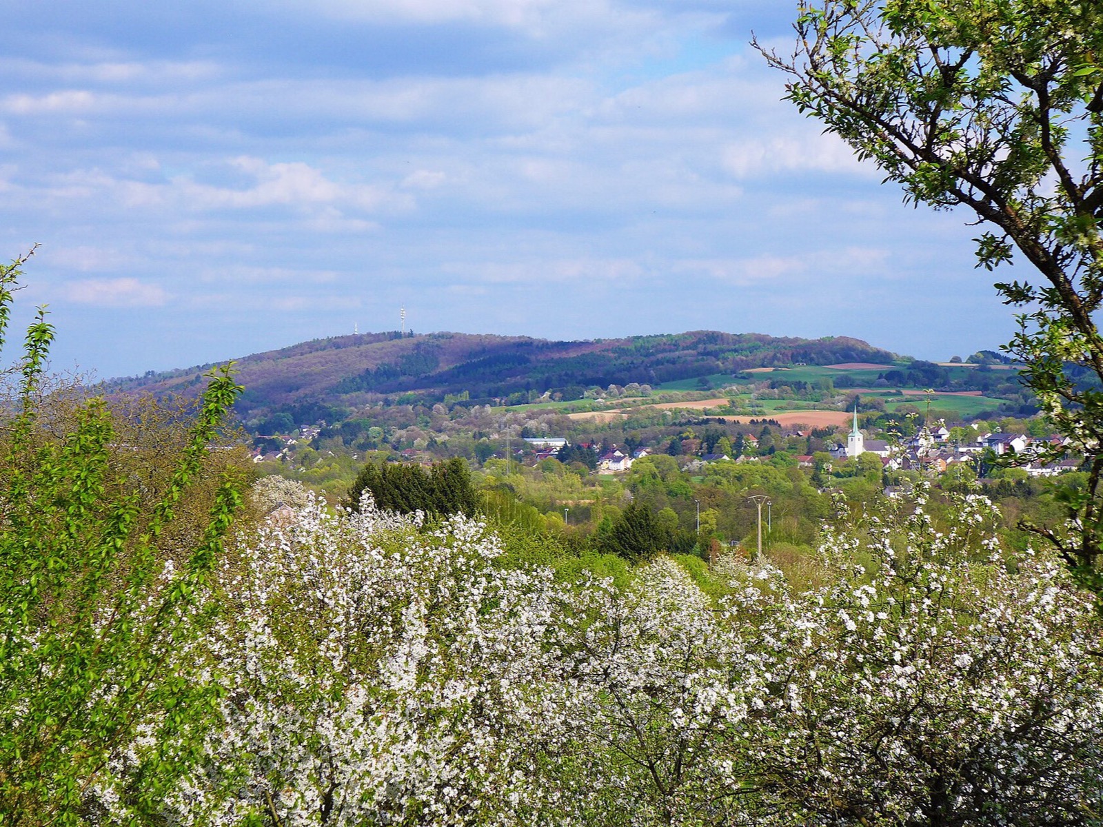 Hoxberg – Foto: Oktobersonne