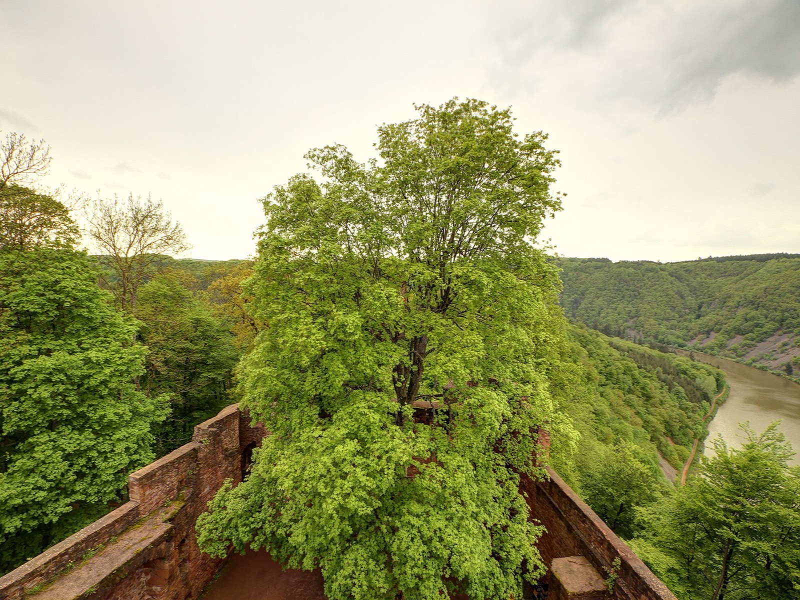 Naturpark Saar-Hunsrück – Foto: Pascal Dihé